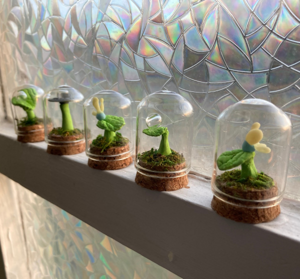 Mini Terrariums